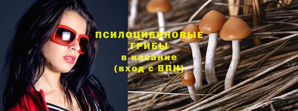 каннабис Алзамай